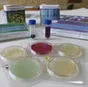 микробиологические экспресс-тесты  в Саратове 8