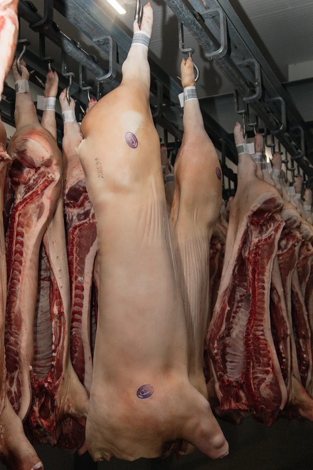 мясо свинины в полутушах 2 кат охл/зам в Энгельсе 3
